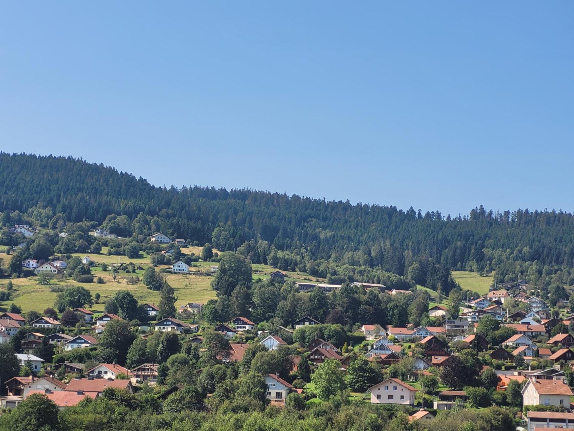 Le Tresor Des Vosges Appartement Spacieux Et Lumineux 80M2 - Jeux Arcades - Ideal Famille 4 A 6 Personnes Gérardmer Eksteriør bilde